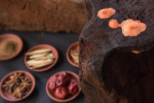 Tải hình ảnh vào trình xem Thư viện, Nước uống Enzyme Chương Chi Đỏ