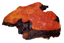 Tải hình ảnh vào trình xem Thư viện, Nước uống Enzyme Chương Chi Đỏ