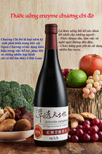 Tải hình ảnh vào trình xem Thư viện, Nước uống Enzyme Chương Chi Đỏ